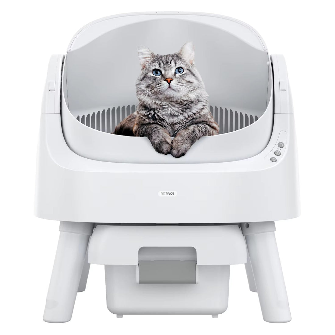 A cat sitting next to a clean automatic litter box